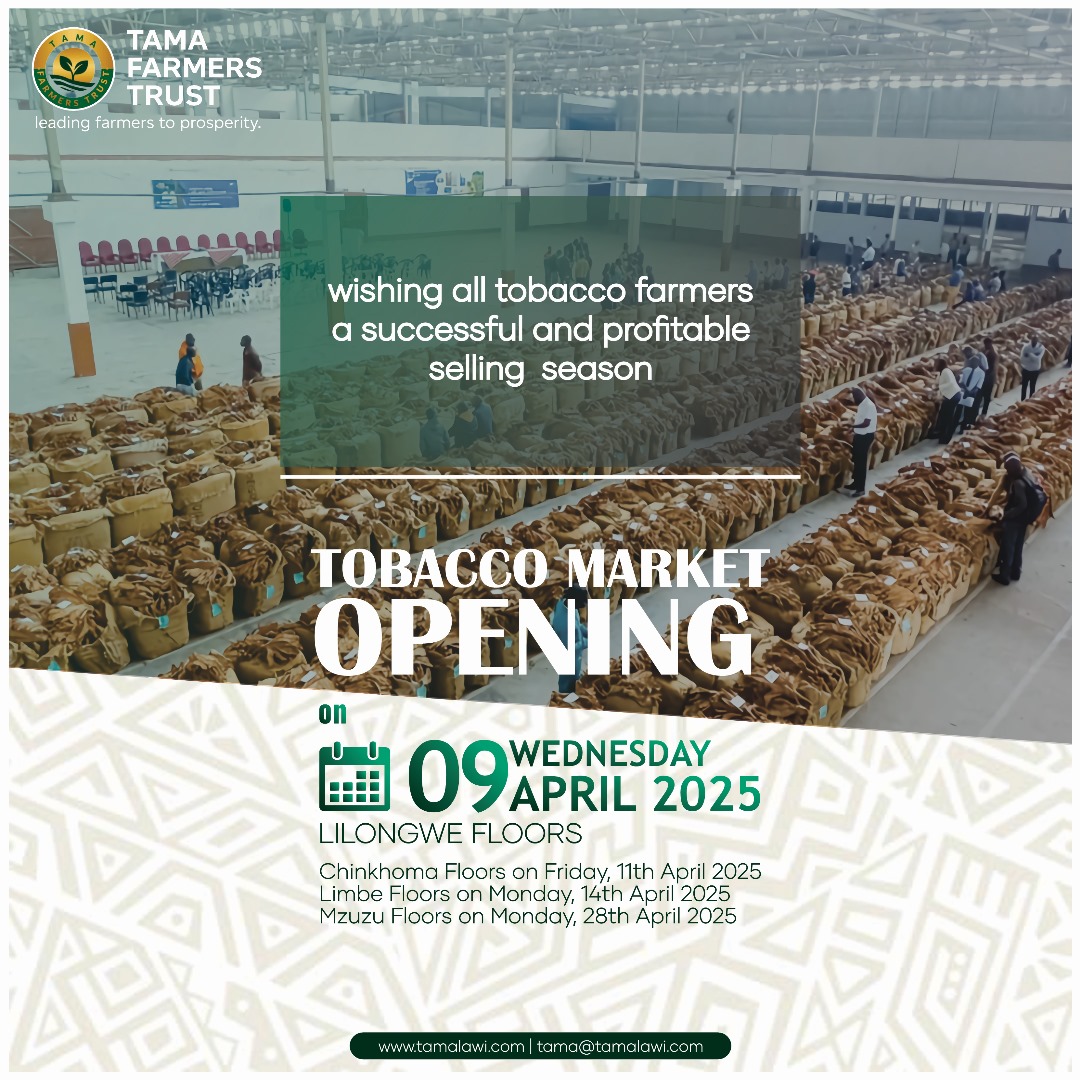 Tobacco Market Opening