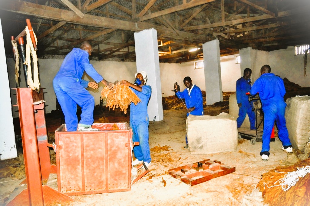 Our Labour Force